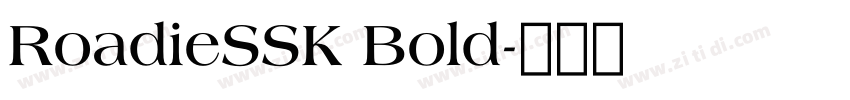 RoadieSSK Bold字体转换
